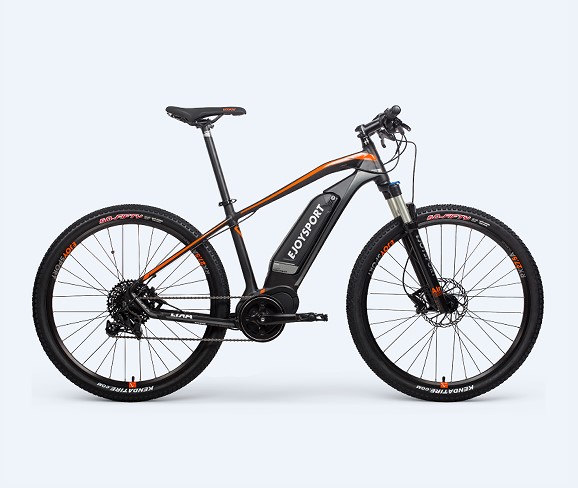 Mountain Electric Bicycle