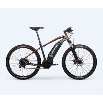 Customized Electric Bike Off Road