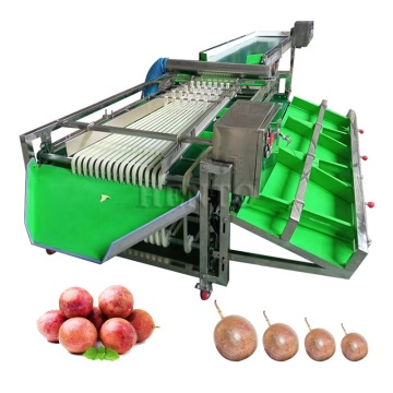 Hochwertige Kartoffelklässlermaschine / Zitronensortiermaschine / Zitrusgrößen -Sortiermaschine