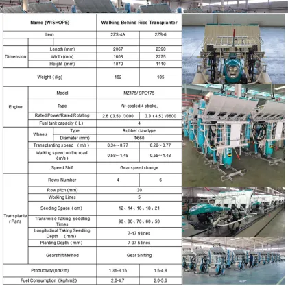 Good Quality Mini Rice Transplanter Machine for Walking Transplanting