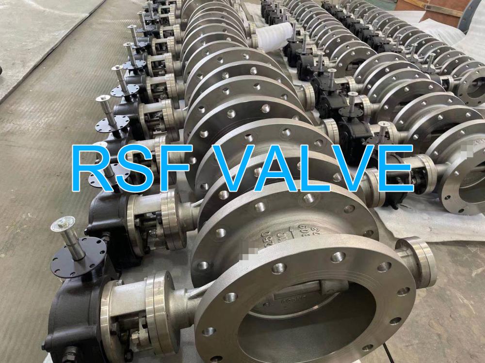 Rsf Valve Triple Offset Butterfly Valve General View 1 1 Jpg