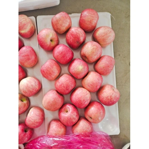 Plastic Bagged Red Fuji Apples China Manufacturer