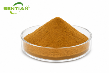 Echinacoside Sweetener Powder Natural Energy Boost