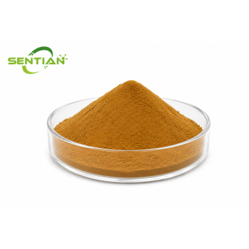 Echinacoside Sweetener Powder Natural Energy Boost