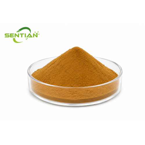 Echinacoside Sweetener Powder Natural Energy Boost