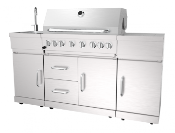 Six Burner Gas Barbecue Grill With Rear Burner