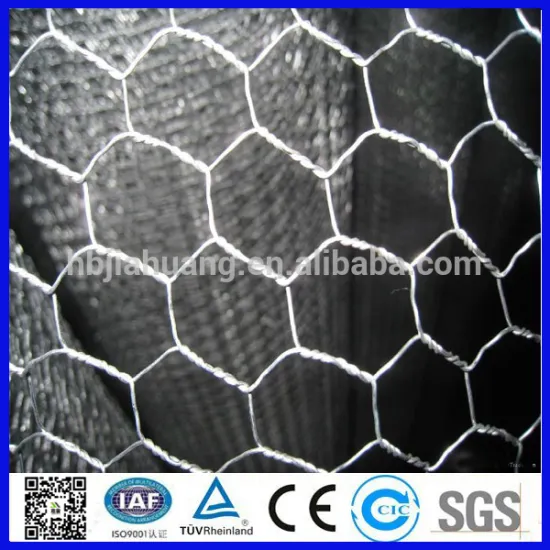 Anping PVC coated hexagonal wire mesh for chicken