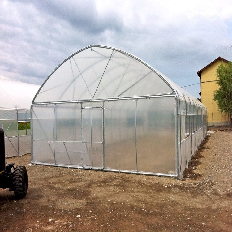 Galvanized Steel Frame Plastic Film Tunnel Greenhouse