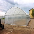 Tunnel Green House Vegetable Tunnel Greenhouse pour tomate
