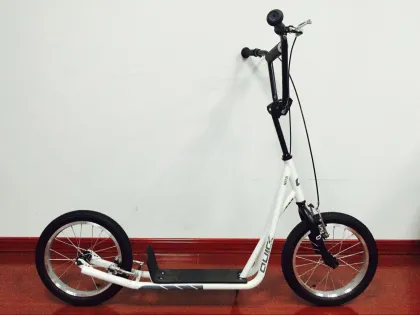 SL20803 Sports Scooter Search