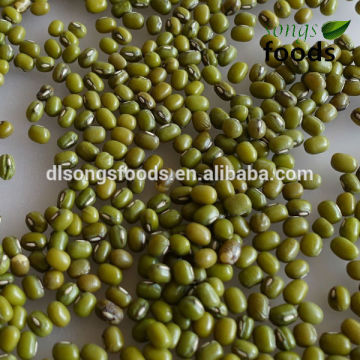China Bulk Fresh Green Mung Bean For Sale