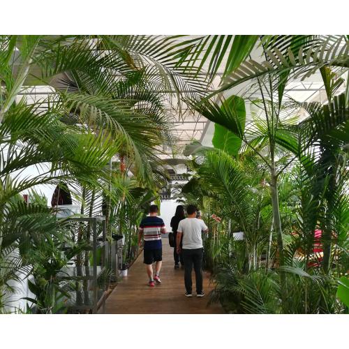Ecological Restaurant Leisure Glass Greenhouse
