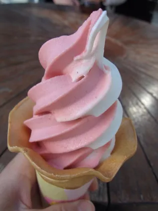 Japan Ice Cream Machine: Cornetto Ice Cream Machine