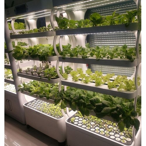 Hydroponic Aquaponics Showing Systems Dalaman Tumbuh