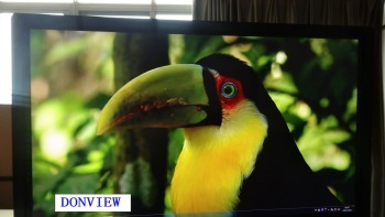 Donview LED touch monitor 65''