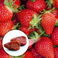 Hälsosam snack söt mjuk torkad jordgubbe