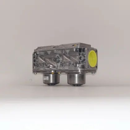 SIEMENS Gas Double Solenoid Valve VGD20.503