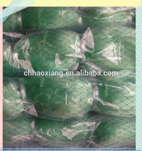 Green Nylon Monofilament Fishing Net - Get Best Price from