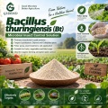 Bacillus thuringiensis (Bt) مسحوق مبيد حشري ميكروبي للزراعة