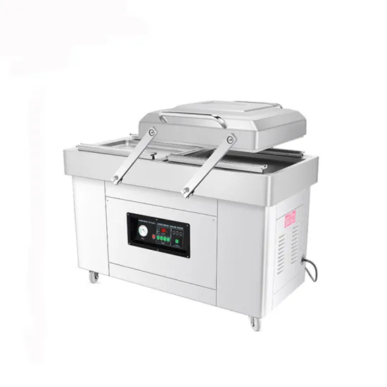 DZ600-2SB Double Chamber Vacuum Sealing Machine