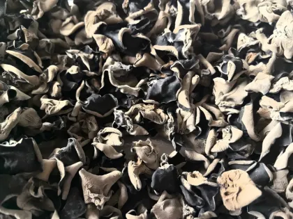 Packaged black fungus