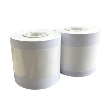 Professional High Quality Minilab Glossy Photo Paper 260gsm Fujifilm Dx100 Printer