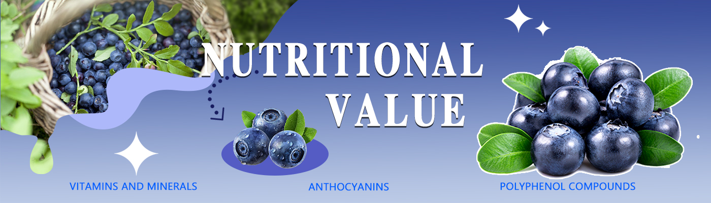 Organic Blueberry Extract Supplement