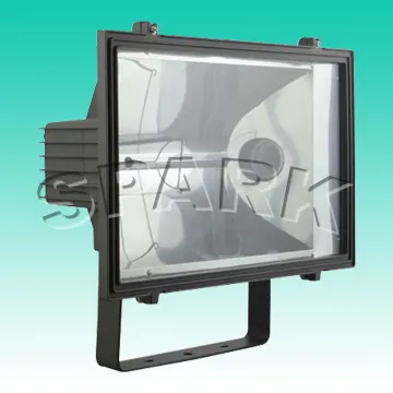 1000W Floodlight