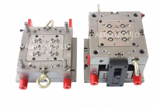 Chinese multi Cavity plastic flip top cap mould