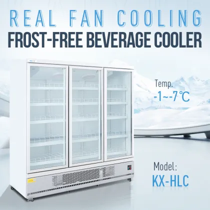 Vertical double glass door display cooler refrigerator