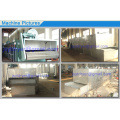 Conveyor Belt Dryer for Mango