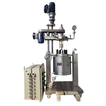 10L Ultrasonic Autoclave Pressure Reactor for Chemical Bioreactor Applications