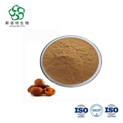 Bulk Supply Herbal Sapindoside Powder Soapnut Extract