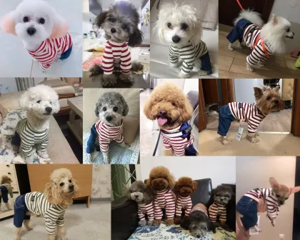 Pet Dog Clothing Stripe Dress Apparel
