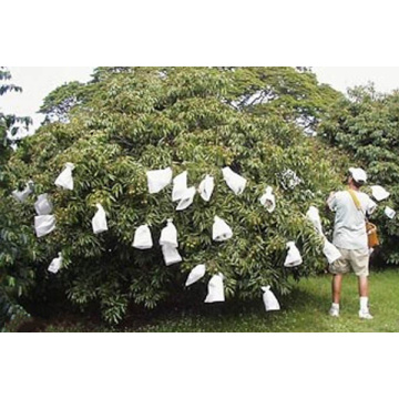 Litchi Fruit Protection Bagging