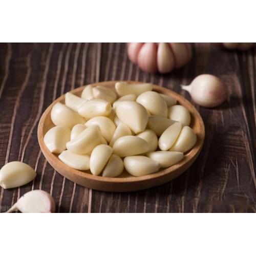 پیاز سیر سفید تازه برای استفاده در آشپزی