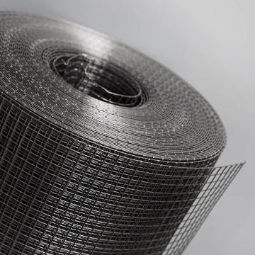 Welded Wire Mesh Rolls