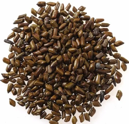 Lose weight cassia angustifolia seed extract