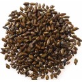 lose weight cassia angustifolia seed extract