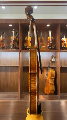 Aged Selected Spruce and Maple Guaneri Handmade violin for Orchestra