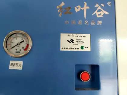 Customized Commercial Water Treatment Process Purification Equipment With RO System