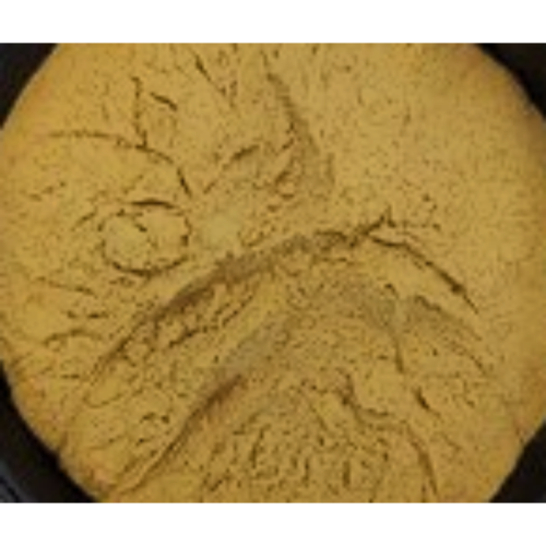 Marasmius Androsaceus Extract Fine Powder