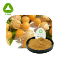 Lantaarn fruit physalis alkekengi extract poeder