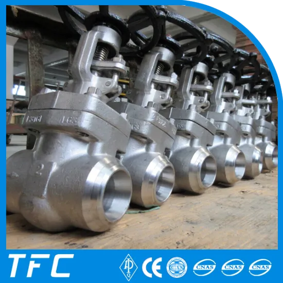 ss stainless steel gate valve wenzhou