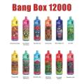 Top -Qualität Bang Box 12000puffs Vape Poland