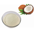 Organic Coconut Milk Powder Bulk