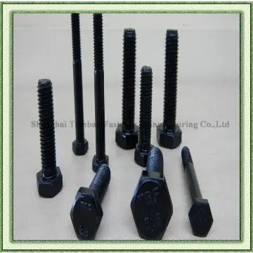 Famous Brand TBF bolt with DIN,JIS,GB,ASTM,ASME