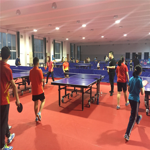 Ping Pong Sport Floor