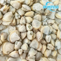 Vongole di fiume vive e carne fresca sostenibili