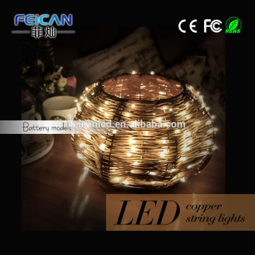 Christmas Holiday Name and 5V Voltage led string copper light